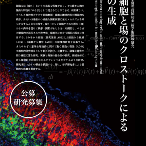 動く細胞と場のクロストークによる秩序の生成　ポスター