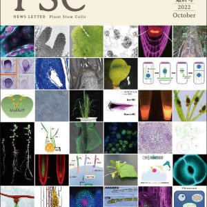 新学術領域研究「植物の生命力を支える多能性幹細胞の基盤原理 」班様