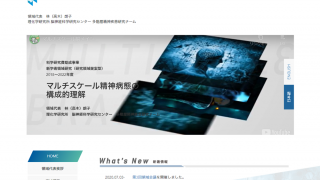 マルチスケール精神病態の構成的理解　webサイト