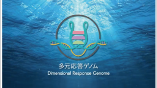 学術領域研究「核酸構造による生物種を超えた多元応答ゲノムの機構の解明 」班様　webサイト