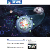 学術領域研究「革新的ナノテクノロジーによる脳分子探査 」班様　webサイト