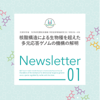 新学術領域研究「 核酸構造による生物種を超えた多元応答ゲノムの機構の解明」班様　ニュースレター