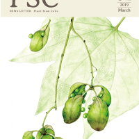新学術領域研究「 植物の生命力を支える多能性幹細胞の基盤原理」班様　ニュースレター