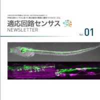 新学術領域研究「神経回路センサスに基づく適応機能の構築と遷移バイオメカニズム 」班様　ニュースレター