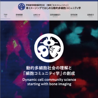 新学術領域研究「 骨イメージングではじめる動的多細胞コミュニティ学」班様　webサイト