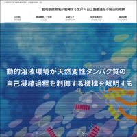 新学術領域研究「動的溶液環境が制御する生体内自己凝縮過程の統合的理解 」班様　webサイト