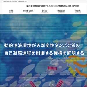 新学術領域研究「動的溶液環境が制御する生体内自己凝縮過程の統合的理解 」班様　webサイト
