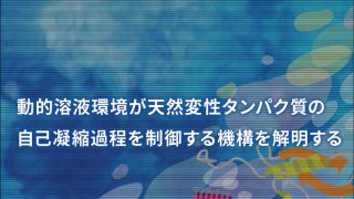 新学術領域研究「動的溶液環境が制御する生体内自己凝縮過程の統合的理解 」班様　webサイト