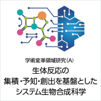 新学術領域研究「 生体反応の集積・予知・創出を基盤としたシステム生物合成科学」班様　ロゴ