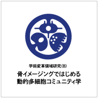 新学術領域研究「 骨イメージングではじめる動的多細胞コミュニティ学」班様　ロゴ