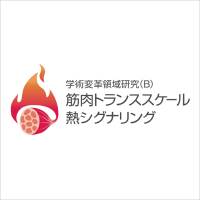 新学術領域研究「 筋肉トランススケール熱シグナリング」班様　ロゴ