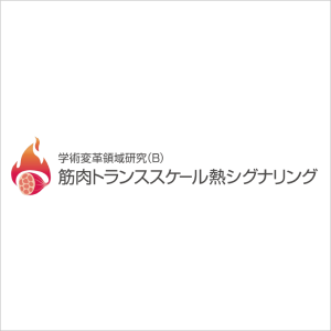 新学術領域研究「 筋肉トランススケール熱シグナリング」班様　ロゴ