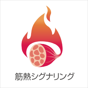 新学術領域研究「 筋肉トランススケール熱シグナリング」班様　ロゴ