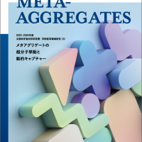 新学術領域研究「 メタアグリゲートの超分子挙動と動的キャプチャー」班様　パンフレット