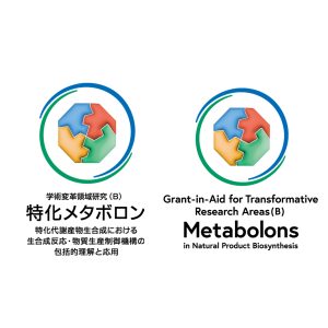 新学術領域研究「特化メタボロン」班様　ロゴ縦
