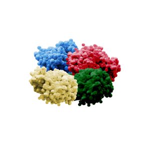 新学術領域研究「特化メタボロン」班様　Webサイト酵素4つ