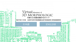 3D MORPHOLOGIC -生物の3D形態を構築するロジック　webサイト