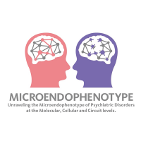 マイクロエンドフェノタイプによる精神病態学の創出　ロゴ