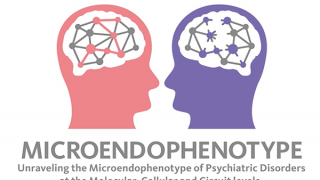 マイクロエンドフェノタイプによる精神病態学の創出　ロゴ