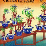 日本分子生物学会のGenes to Cellsの10月号が発行されました。