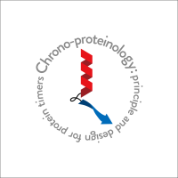 新学術領域研究「 時間タンパク質学：時を生み出すタンパク質特性」班様　ロゴ