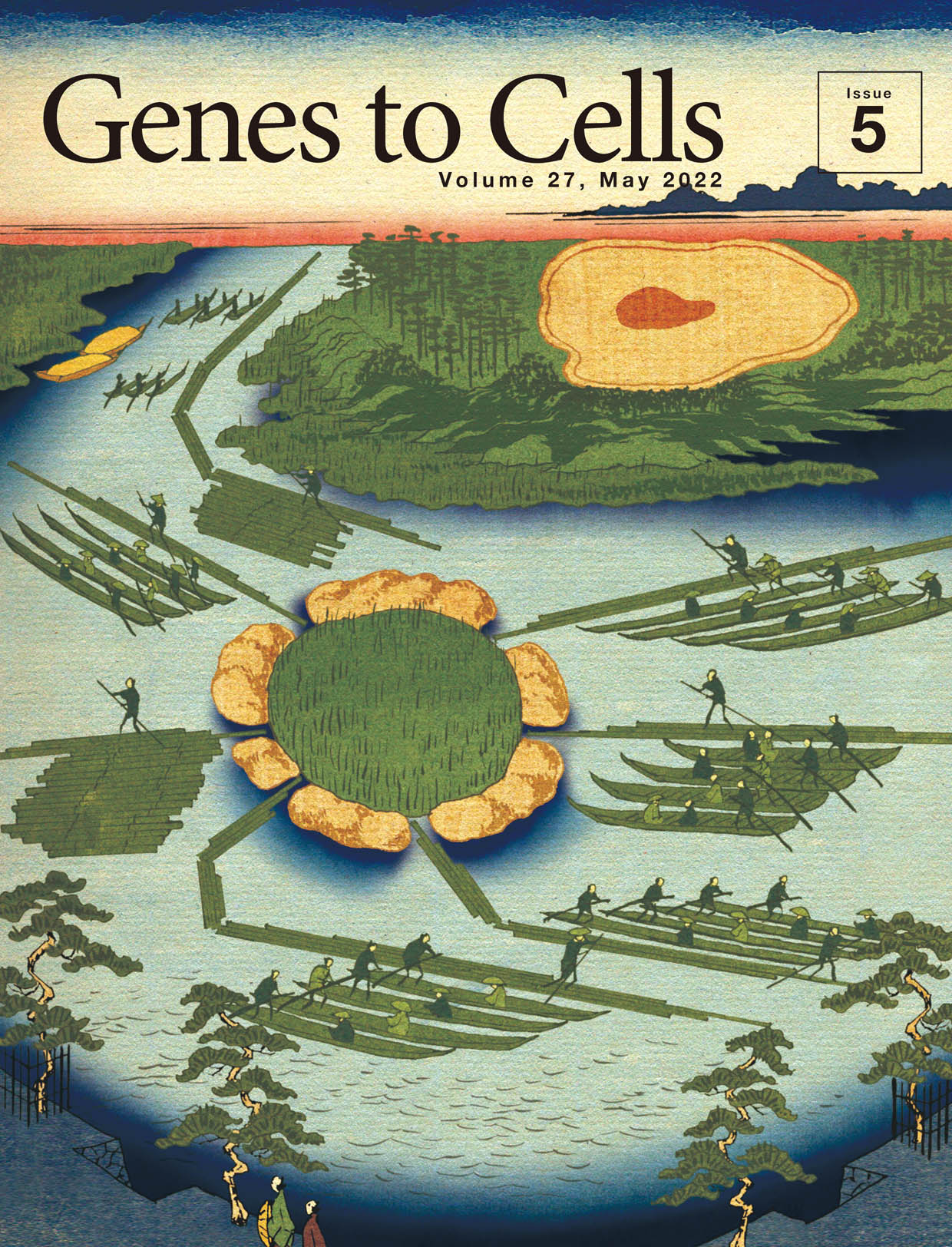 日本分子生物学会のGenes to Cellsの5月号が発行されました。