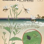 日本分子生物学会のGenes to Cellsの6月号が発行されました。