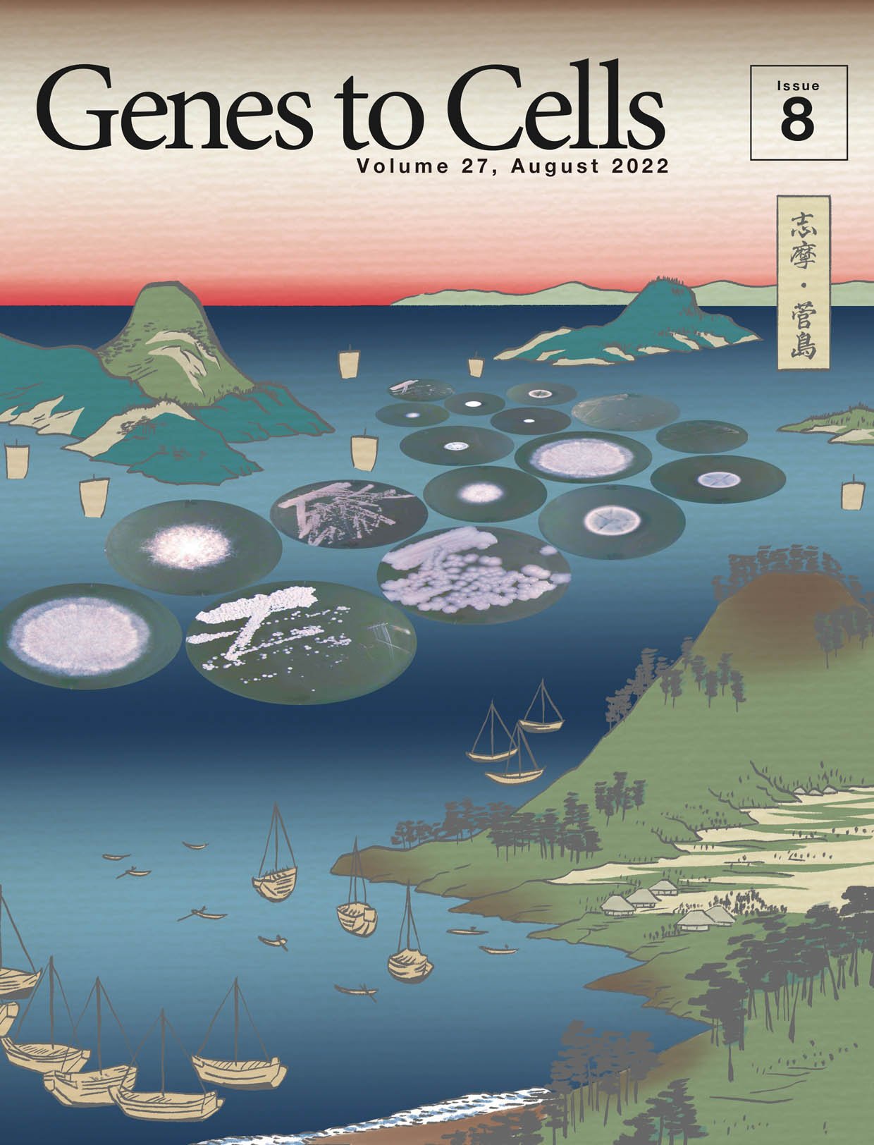 日本分子生物学会のGenes to Cellsの8月号が発行されました。