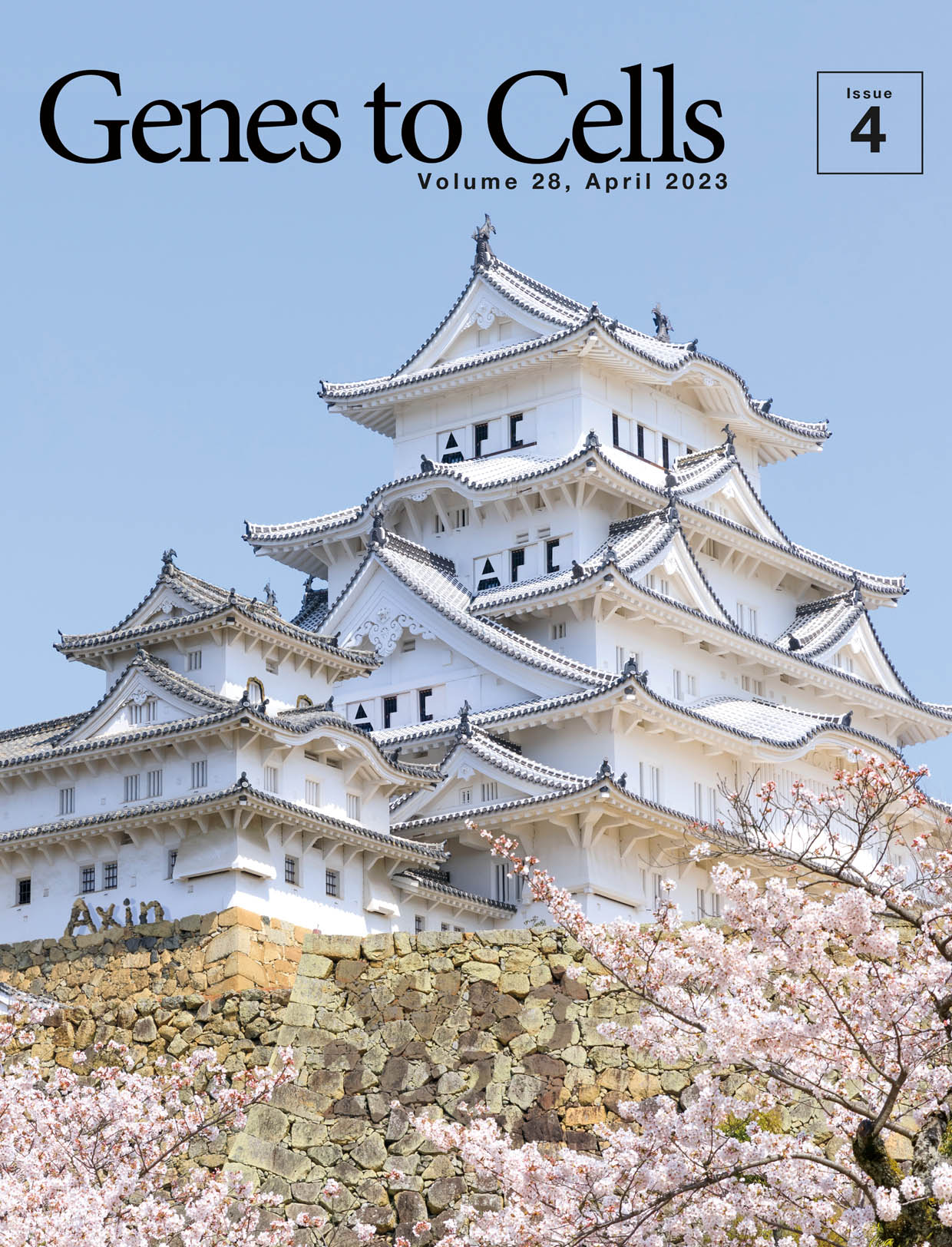 日本分子生物学会のGenes to Cellsの4月号が発行されました。