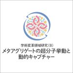 新学術領域研究「 メタアグリゲートの超分子挙動と動的キャプチャー」班様　ロゴ