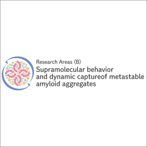 新学術領域研究「 メタアグリゲートの超分子挙動と動的キャプチャー」班様　ロゴ