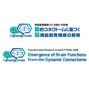 新学術領域研究「動的コネクトームに基づく脳機能創発機構の解明」班様　ロゴ