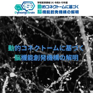 新学術領域研究「動的コネクトームに基づく脳機能創発機構の解明」班様　Webサイト