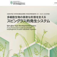 新学術領域研究「多細胞生物の柔軟な形態を支えるスピングラス的発生システム」班様　Webサイト