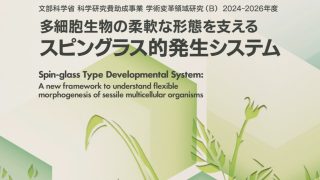 新学術領域研究「多細胞生物の柔軟な形態を支えるスピングラス的発生システム」班様　Webサイト