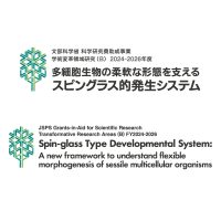 新学術領域研究「植物スピングラス」班様　ロゴ