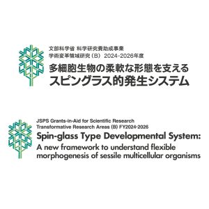 新学術領域研究「多細胞生物の柔軟な形態を支えるスピングラス的発生システム」班様　ロゴ