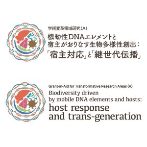 新学術領域研究「機動性ゲノム」班様　ロゴ