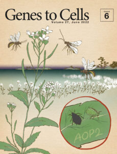 日本分子生物学会のGenes to Cellsの6月号が発行されました。